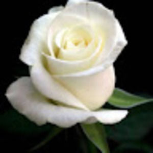 Meet your Posher, Lakia